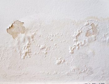 Croft___Signs_my_property_has_penetrating_damp_1524576999_w790