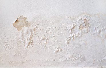 Croft___Signs_my_property_has_penetrating_damp_1524576999_w790