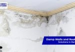 Damp-walls-and-Roop-leaks-solutions-in-Bangladesh
