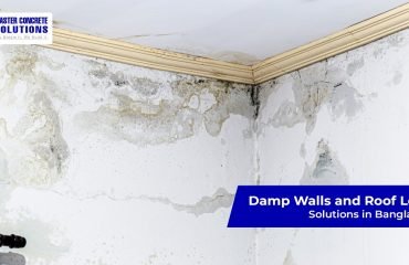 Damp-walls-and-Roop-leaks-solutions-in-Bangladesh